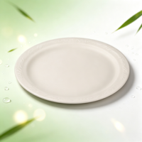 Assiette jetable en bagasse de canne à sucre, biodégradable, compostable, ronde, écologique, pour restaurant, plats à emporter, fête
