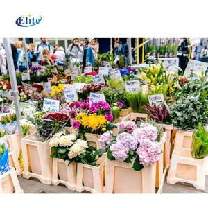 ถังดอกไม้พลาสติกดีไซน์ทันสมัย สไตล์เดนมาร์ก ขายส่งถังร้านดอกไม้ สีและโลโก้สั่งทำได้ สำหรับจัดแสดงดอกไม้ในงานประมูล - Product Image 5