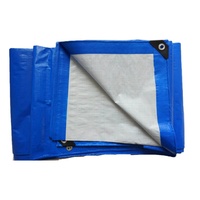 Bâche en plastique PE imperméable, résistante aux UV, bords renforcés, légère, taille personnalisable, découpe sur mesure, auvent de jardin extérieur