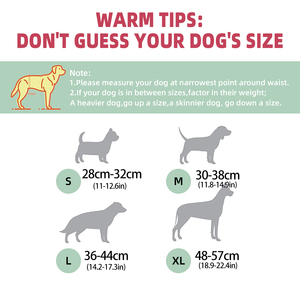 Couches absorbantes super performantes pour chiens mâles, couches lavables pour l'<span class=keywords><strong>incontinence</strong></span>, bandes ventrales pour Halloween, pour chiots et chiens adultes - Product Image 2