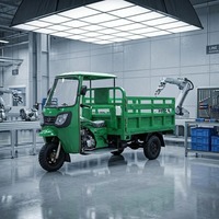 Meilleure Vente Tricycle à Essence Robuste 200-250cc, Moto Cargo à Essence avec Auvent, Vitesse 50-70Km/h