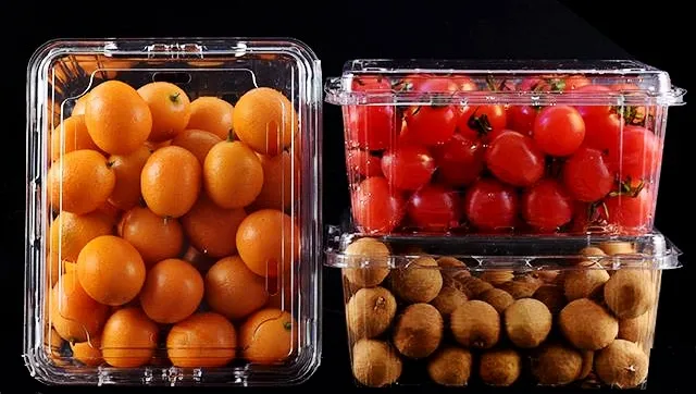 Pet vacuum ecofriendly food trasparente usa e getta trasparente contenitore per alimenti imballaggio frutta verdura biscotti vassoi
