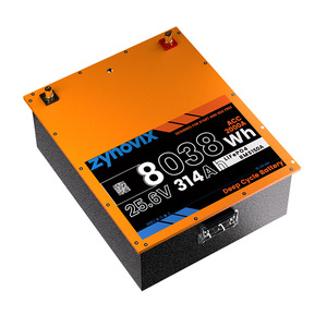 Lithium Ion <b>Battery</b> Pack <b>24V</b> LiFePO4 3000 Cycles For RV Truck Boat Use - Product Image 2