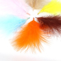28 Couleurs Plumes de Dinde Teintées en Gros Multicolores 6-12CM Plumes de Marabout Blanches Non Assorties Éventails de Plumes de Dinde Noires Origine États-Unis