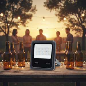 Projecteur LED AC/DC pour Jardin Extérieur et Couloir, 30 Watts, Haute Luminosité, IP65, Certifié CE, avec Angles de Faisceau Multiples - Product Image 4