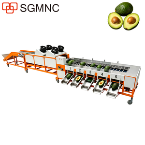 Línea de Producción Automática Integrada de <span class=keywords><strong>Palta</strong></span> <span class=keywords><strong>Hass</strong></span> de 1000 kg/hora con Lavado, Secado y Clasificación Automáticos - Product Image 1
