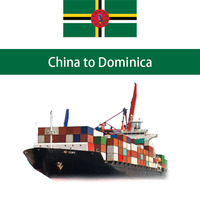 Agente de Transporte Marítimo Profesional FCL a Jamaica, Qingdao, Tianjin, Guangzhou, Ningbo, Tarifas de Flete Marítimo Económicas a Kingston