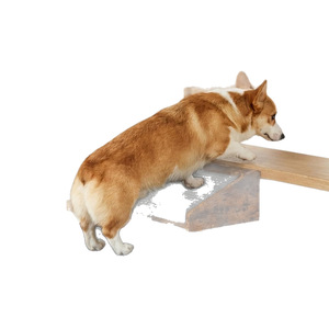 Nouvelle rampe d'escalier en bois antidérapante transfrontalière, échelle d'escalade pour animaux de compagnie, pédale de bureau - Product Image 1