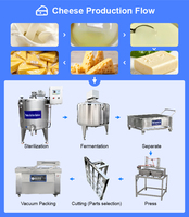 Usine de transformation laitière, cuve à fromage haute efficacité de 1000 litres, petite ligne de production de mozzarella