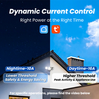 API 1P Tuya Smart Meter 50A Disjoncteur intelligent avec télécommande, mesure de la consommation en kWh, relais temporisé, fonction prépayée Chayo