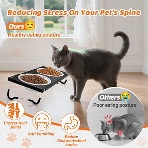 Station d'alimentation portable pour animaux de compagnie en acier inoxydable à double bol, design moderne transparent, support pour gamelles pour chats et petits chiens - Product Image 3