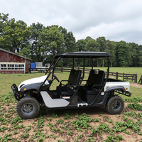 Lvcci Meilleur côte à côte 4 places Dune Buggy essence électrique Transmission automatique Type certifié CEE
