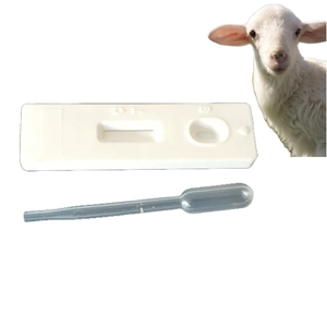 Great-Farm <span class=keywords><strong>HCG</strong></span>-bandelette rapide de Test de grossesse, Kit de Test de grossesse en papier à prix abordable pour mouton et chèvre - Product Image 4