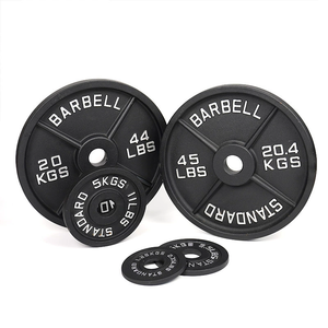 Discos de Pesas de <span class=keywords><strong>Hierro</strong></span> <span class=keywords><strong>Fundido</strong></span> para Gimnasio, Discos de Pesas Estándar para Levantamiento de Pesas - Product Image 1