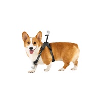 Support de harnais pour animaux de compagnie Insta360, taille M, bretelles réglables, portable, durable, accessoires pour caméra de sport et d'action