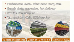 <span class=keywords><strong>Prix</strong></span> de gros Gousses sèches Gousses séchées entières de haute qualité - Product Image 4