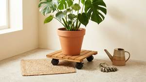 [BenK] Soporte para Plantas de Madera con Certificación FSC, Forma Cuadrada, con Ruedas Móviles, Sistema Wagner, Rodillo para Plantas, Clásico, Suave - Product Image 4