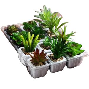 Juego de 4 <span class=keywords><strong>plantas</strong></span> suculentas <span class=keywords><strong>artificiales</strong></span>, miniplantas verdes surtidas para decoración interior del hogar <span class=keywords><strong>con</strong></span> macetas cuadradas de cerámica blanca - Product Image 6