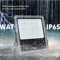 Lumen élevé le plus populaire extérieur étanche Ip65 aluminium 50w 100w 150w 200w 300w 400w Led Flood Lamp