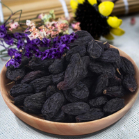Fournisseur chinois en gros de raisins noirs séchés de qualité supérieure, nouvelle récolte de fruits secs