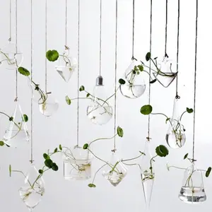 Creative shaped hanging transparent glass vase small hydroponic gardening home decoration plant set