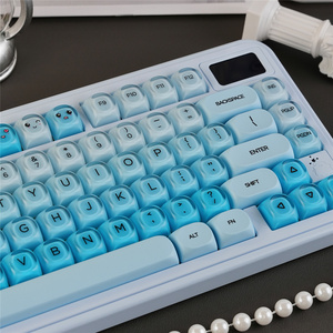 Teclas Blueberry, Perfil <span class=keywords><strong>HOA</strong></span>, Material PBT, Teclas Sublimadas por Tinte, 131 Teclas para Interruptor Mx, Teclado Mecánico 61/64/68/104/108 - Product Image 4