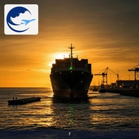 Logistique maritime fiable de Ningbo vers l'Arabie Saoudite, dédouanement et livraison