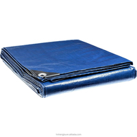 Usine directe de haute qualité Pe Pvc toit bâche conteneur couverture toile couvrant