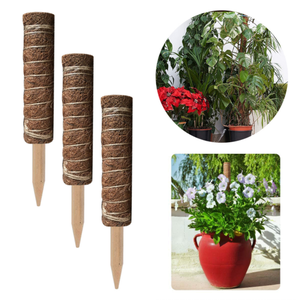 Potted Plant Support Stick Coconut Coir Moss Poles Plant Stakes Plant Climbing pole 30cm