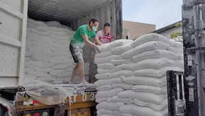 China Good Quality High Strength Gypsum Powder Price Per Ton With Best Price