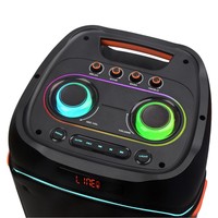 Système audio double 10 pouces personnalisé OEM, meilleures ventes pour l'export, pour écran d'affichage 4.1, batterie 3000-5000mAh, éclairage multiple