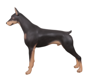 Maniquí de Doberman Pinscher Grande de 87.5cm, Modelo de Perro Desmontable de Fibra de Vidrio para Exhibición en Tiendas de Collares y Arneses para Mascotas - Product Image 5
