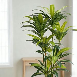 Planta Artificial Realista, Dracaena Artificial Realista para Decoración de Interiores de Hogar y Oficina - Product Image 2