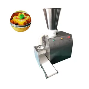 Preço Atacado Dumpling Wonton Maker Eletricidade Wonton Noodles Fazendo Máquina Com Melhor Preço