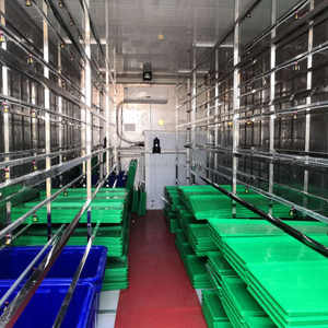 Bac à semis hydroponique pour haricots, machine hydroponique pour semis de riz, grefftes de fruits, plateau de semis - Product Image 4