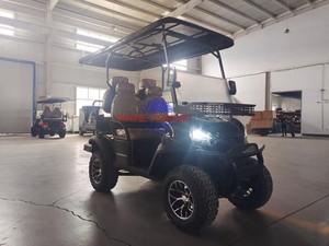 Voiturette de golf électrique à 2 places homologuée pour la route avec construction en acier pour le transport de marchandises, moteur 5KW, certifiée CE - Product Image 2
