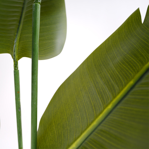 Árbol de Plátano Artificial de <span class=keywords><strong>Ravenala</strong></span> de Plástico de Alta Calidad, Plantas Verdes del Paraíso, Resistentes a los Rayos UV, Ecológicas, 150 cm, para Hoteles y Cafeterías - Product Image 5