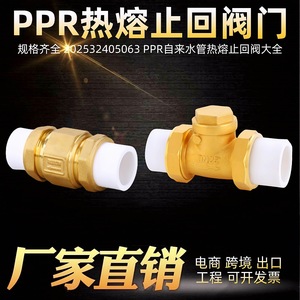 Vanne de retenue en laiton PPR DN25 à passage direct pour raccordement par fusion thermique de conduites d'eau - Product Image 3