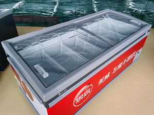 <span class=keywords><strong>Prezzo</strong></span> di fabbrica commerciale <span class=keywords><strong>orizzontale</strong></span> freezer isola display <span class=keywords><strong>congelatore</strong></span> superiore porta di vetro del supermercato display <span class=keywords><strong>orizzontale</strong></span> <span class=keywords><strong>congelatore</strong></span> - Product Image 3