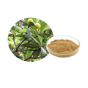 Doğal Yenidünya Yaprağı Ekstresi Folium Eriobotryae Ekstrakt Tozu 10:1 - Product Image 1