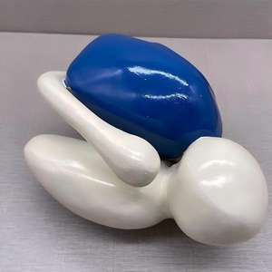 Modèle des ganglions basaux ventriculaires - Modèle anatomique du système nerveux humain pour l'enseignement de <span class=keywords><strong>la</strong></span> <span class=keywords><strong>neurosciences</strong></span> - Product Image 2