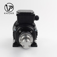 Bomba de Agua Eléctrica Portátil de Alta Calidad AC220V para Automóviles, para Líquidos de Alta Viscosidad