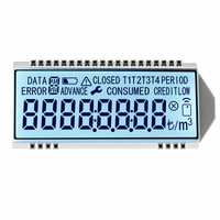 Écran LCD segmenté personnalisé de haute qualité TN STN VA Monochrome pour le développement de produits OEM ODM de marque