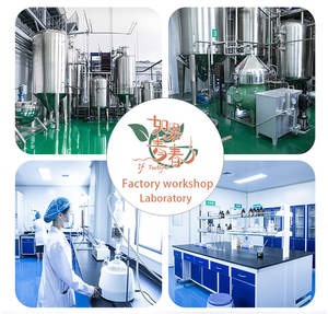 Sementes de manjericão - Product Image 3