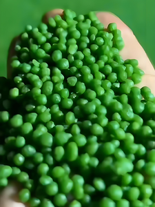 Phân bón nhuộm táo xanh để nhuộm và in lụa Len nylon mực phân bón vv - Product Image 3