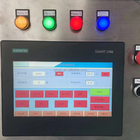 Machine de Remplissage Automatique de Pâte Liquide à Piston pour Aliments pour Bébés, Ketchup, Sauce aux Pommes, Servo Moteur