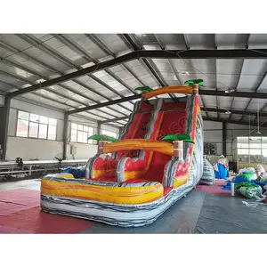 Hot Sale Home Use Courtyard Inflatable Water Slide With Water Pool Games For Party Rental