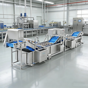 Línea de Lavado Industrial Comercial para Frutas, Lavadora de Fresas y Arándanos para Producción de Smoothies y Jugos - Product Image 4