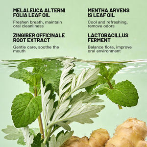 KORMESIC En gros 315ml Bain de bouche concentré à l'huile de coco, menthe poivrée et cannelle pour une haleine plus fraîche et un nettoyage buccal en profondeur - Product Image 4