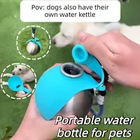 Bouteille d'eau 2 en 1 pour chien et chat en acier inoxydable avec bol en silicone pliable surélevé, anti-fuite, pour la marche en plein air, la randonnée, les voyages